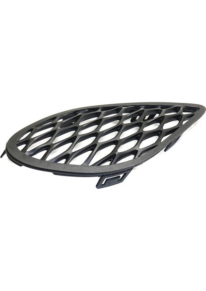 Sol Yan Sis Fark Alt Tampon Grille Izgara Kapağı 2015-2017 Dodge Charger 68280493AA (Yurt Dışından)