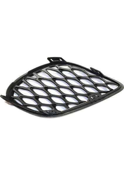 Sol Yan Sis Fark Alt Tampon Grille Izgara Kapağı 2015-2017 Dodge Charger 68280493AA (Yurt Dışından) fırsatları