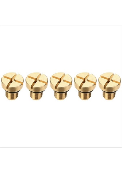 5pcs 17111712788 Radyatör Taşma Soğutucu Soğutucu Genişleme Tank Bleeder Vidalı Bmw E36 E39 E46 (Yurt Dışından)