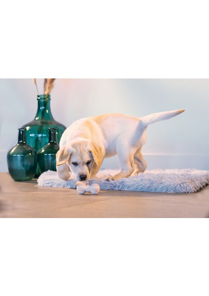 Xmpdby Beeztees Yavru Köpek Oyuncağı, Diş Kaşıma ve Masaj Dambıl, Kauçuk, Pembe, 9cm fiyatları