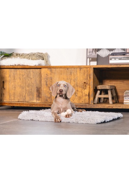 Xmpdby Beeztees Yavru Köpek Oyuncağı, Diş Kaşıma ve Masaj Dambıl, Kauçuk, Pembe, 9cm modelleri