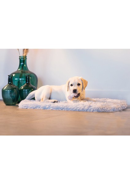 Xmpdby Beeztees Yavru Köpek Oyuncağı, Diş Kaşıma ve Masaj Dambıl, Kauçuk, Pembe, 9cm fırsatları