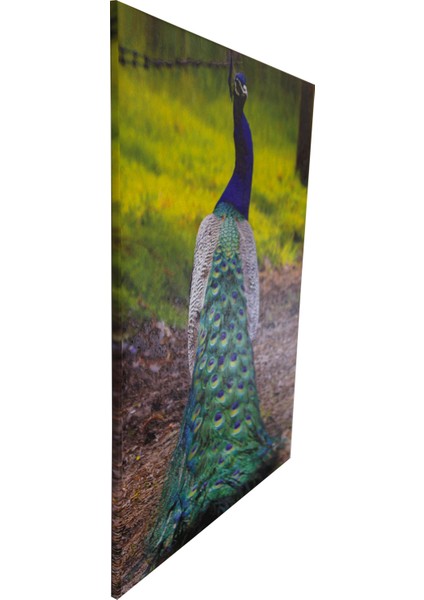 3 D Kabartma fiyatları