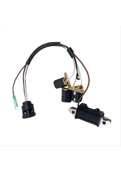 Yamaha Dıştan Takma Motor Için Iki Zamanlı 60 Hp Dıştan Takma Motor Aksesuar Şarj Bobini 6H3-85520-00 (Yurt Dışından)