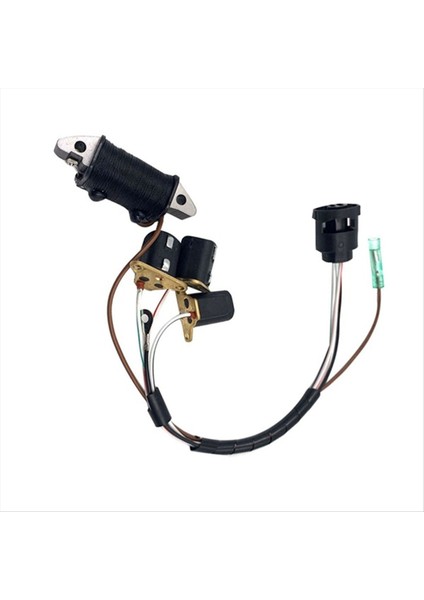 Yamaha Dıştan Takma Motor Için Iki Zamanlı 60 Hp Dıştan Takma Motor Aksesuar Şarj Bobini 6H3-85520-00 (Yurt Dışından) fırsatları