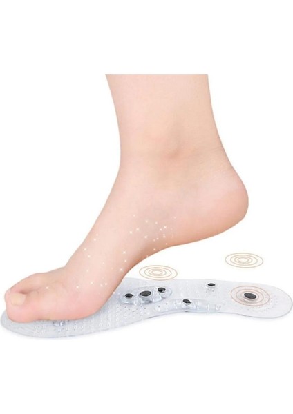 Manyetik Tabanlık modelleri