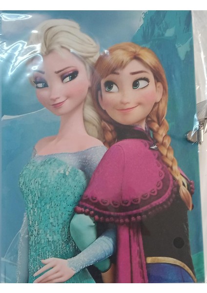 frozen kilitli hatıra defteri