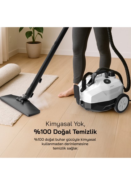 2000W 5 Bar Yüksek Basınçlı 2 Litre 15 Başlıklı 110°C Profesyonel Buharlı Temizleyici SSC-6428 indirimleri