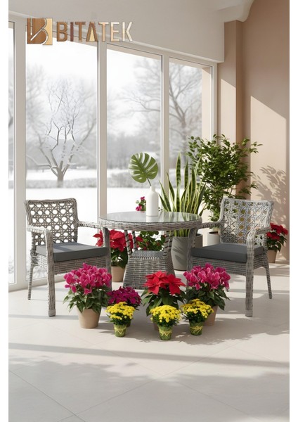 Alaçatı 2 Kişilik Rattan Bahçe Balkon Mutfak Masa Takımı Gri