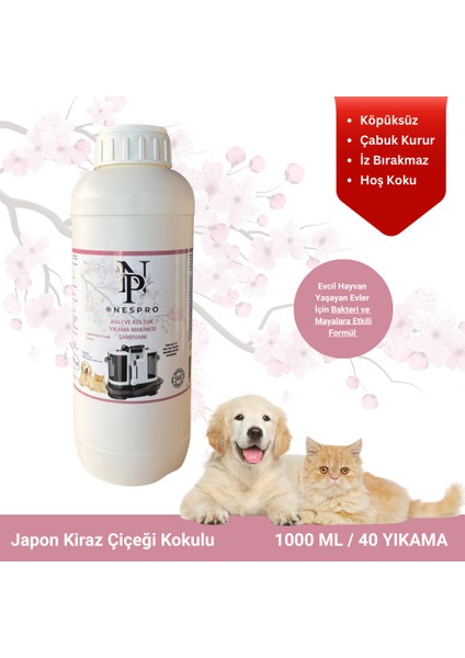 Halı ve Koltuk Yıkama Makinesi Şampuanı - Japon Kiraz Çiçeği Kokulu Köpüksüz 1 Lt