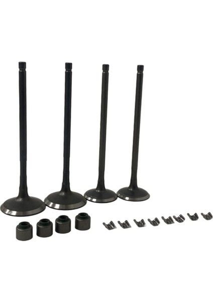 Motor Egzoz Valfleri Giriş Emme Kök Kiti Bajaj Pulsar 200NS NS200 AS200 RS200 Roser 200 Motiklik Aksesuarları (Yurt Dışından)