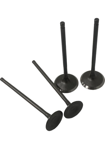 Motor Egzoz Valfleri Giriş Emme Kök Kiti Bajaj Pulsar 200NS NS200 AS200 RS200 Roser 200 Motiklik Aksesuarları (Yurt Dışından) modelleri