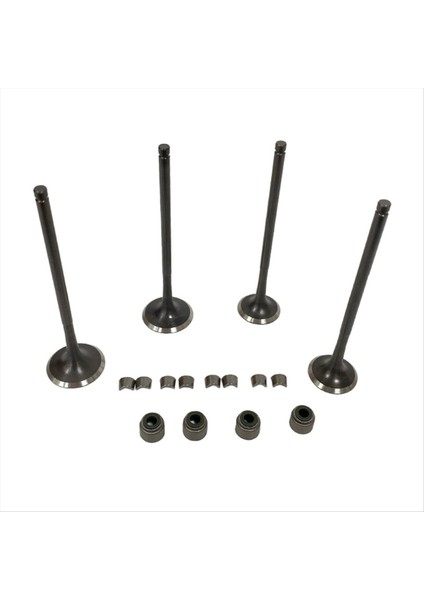 Zongshen NC250 ZS177MM 250CC Dirt Için Emme ve Egzoz Valfleri (Yurt Dışından)