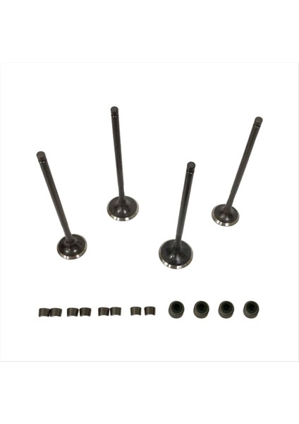 Zongshen NC250 ZS177MM 250CC Dirt Için Emme ve Egzoz Valfleri (Yurt Dışından) modelleri