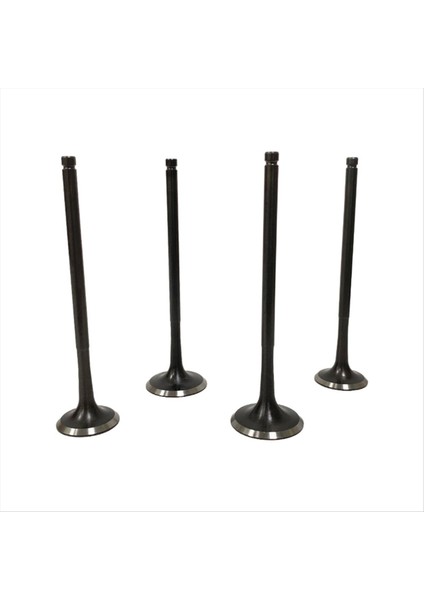 Zongshen NC250 ZS177MM 250CC Dirt Için Emme ve Egzoz Valfleri (Yurt Dışından) indirimleri