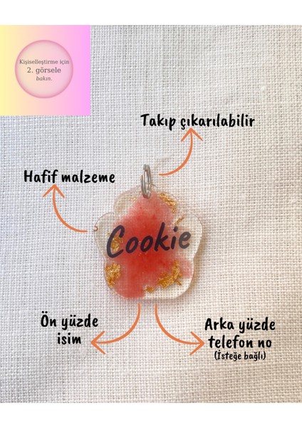 Şeffaf-Renkli Kedi/ Küçük- Orta Irk Köpek- Isimliği/ Künyesi