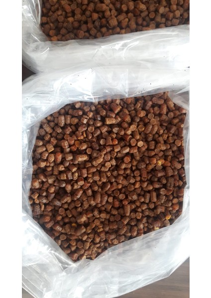 Arı Ekmeği (Perga) 1 kg