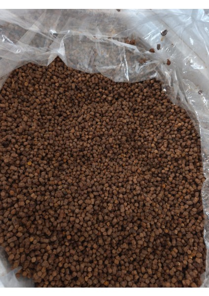Arı Ekmeği (Perga) 1 kg modelleri