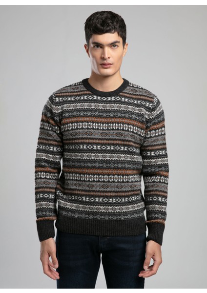 Yuvarlak Yaka Regular Fit Antrasit Erkek Kazak 261 Lcm 241022 Adrıel Antrasit fiyatları