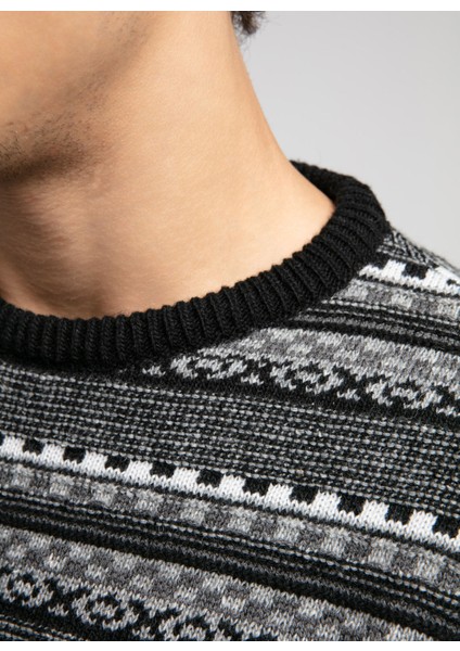 Yuvarlak Yaka Regular Fit Siyah - Antrasit Erkek Kazak 261 Lcm 241023 Mıguel Siyah-Antra fırsatları