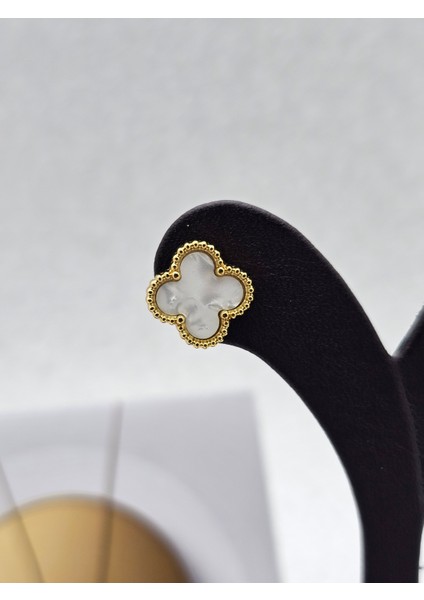 Yonca Model Beyaz Gold Renk Çelik Küpe