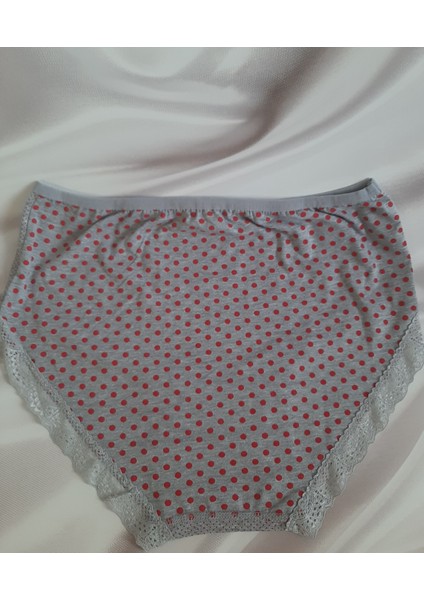 Gri Kırmızı Puantiyeli %100 Pamuk Yüksek Bel Tutku Bato Kadın Külot Büyük Beden fiyatları