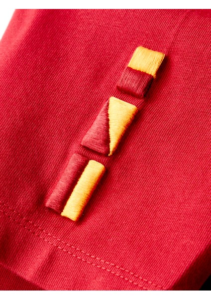 Galatasaray Çocuk T-Shirt C252098 fırsatları