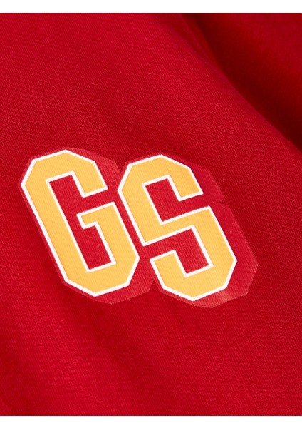 Galatasaray Çocuk T-Shirt C252098 indirimleri