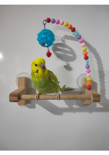 Kuş Vantuzlu Cam Tüneği, Kuş Tüneği Oyuncağı, Kuş Ahşap Tüneği, Kuş Oyuncağı