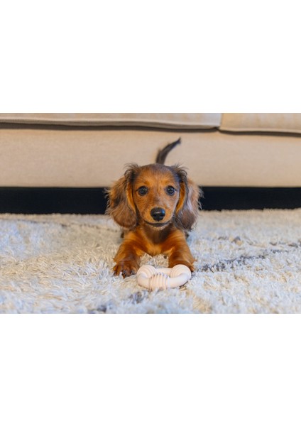 Xmpdby Beeztees Yavru Köpek Diş Oyuncağı, Içi Dolu Halka, Kauçuk, Pembe, 8cm modelleri