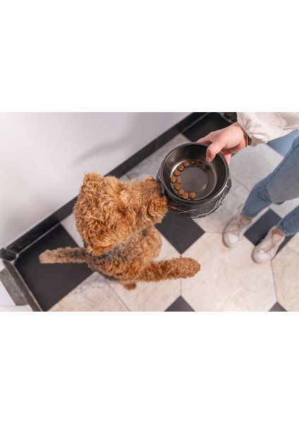 Xmpdby Beeztees Dbl Köpek Mama Su Kabı, Mat Siyah Paslanmaz Çelik, Siyah Mermer Görünümlü, 17,5cm, 350ML modelleri