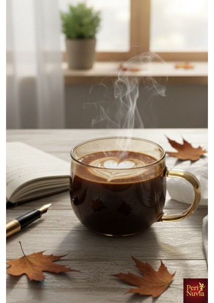 Ikili Estetik Borosilikat Cam Bitki Çayı & Kahve Fincanı Seti fiyatları