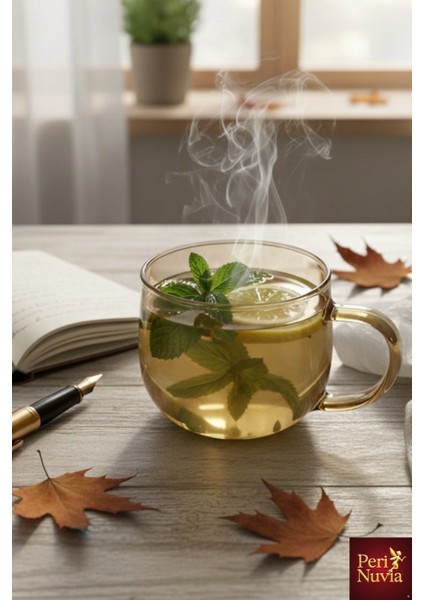 Ikili Estetik Borosilikat Cam Bitki Çayı & Kahve Fincanı Seti modelleri