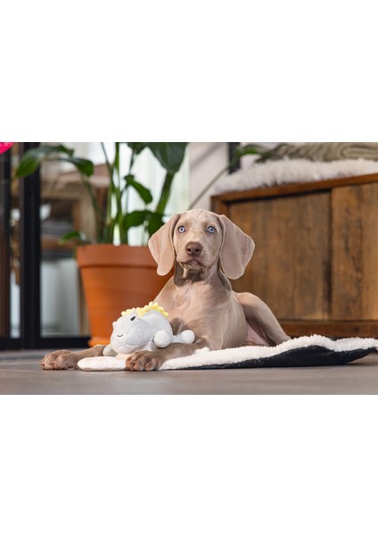 Xmpdby Beeztees Yavru Köpek Oyuncağı, Dinazor, Peluş, Yeşil, 19X14,5X9CM fiyatları