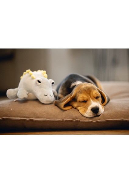 Xmpdby Beeztees Yavru Köpek Oyuncağı, Dinazor, Peluş, Yeşil, 19X14,5X9CM modelleri