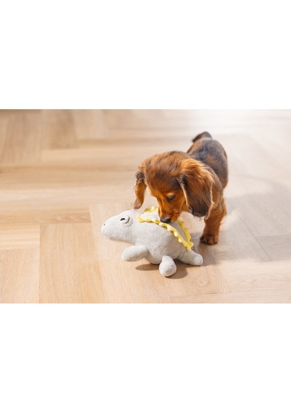 Xmpdby Beeztees Yavru Köpek Oyuncağı, Dinazor, Peluş, Yeşil, 19X14,5X9CM indirimleri