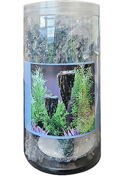 Xmpdby Avatar Kaya Yüzen Dekor M Boy 11 x 7 x 6 cm