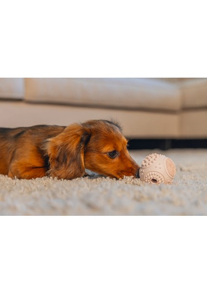 Xmpdby Beeztees Yavru Köpek Oyuncağı, Diş Kaşıma ve Masaj Topu, Kauçuk, Pembe, 5cm fiyatları