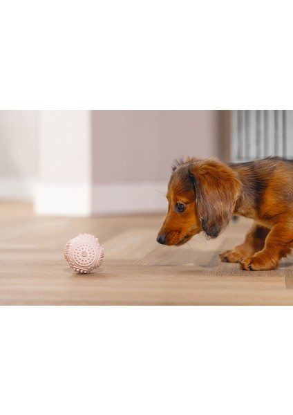 Xmpdby Beeztees Yavru Köpek Oyuncağı, Diş Kaşıma ve Masaj Topu, Kauçuk, Pembe, 5cm fırsatları