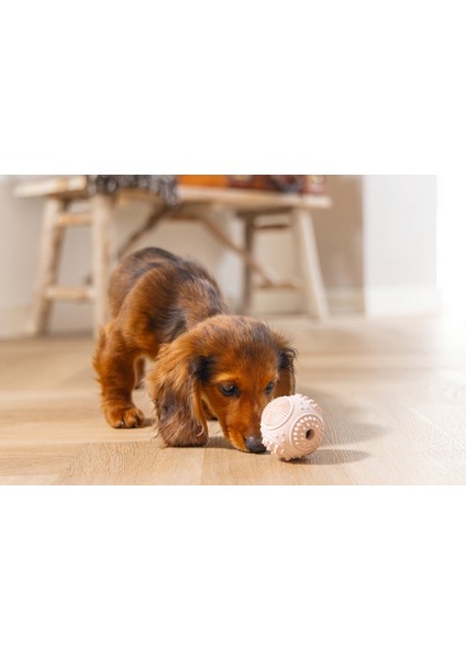 Xmpdby Beeztees Yavru Köpek Oyuncağı, Diş Kaşıma ve Masaj Topu, Kauçuk, Pembe, 5cm indirimleri