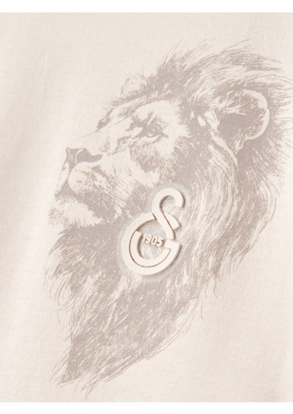 Galatasaray Çocuk T-Shirt C252100 indirimleri