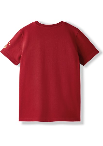 Galatasaray Çocuk T-Shirt C252097 fiyatları