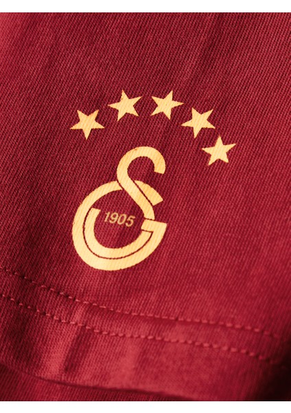 Galatasaray Çocuk T-Shirt C252097 fırsatları