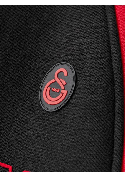 Galatasaray Kadın Sweatshirt K252159 fırsatları