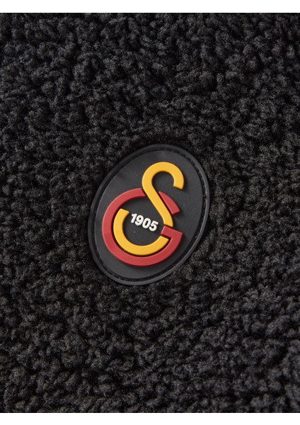 Galatasaray Çocuk Zip Hoodie C252063 modelleri