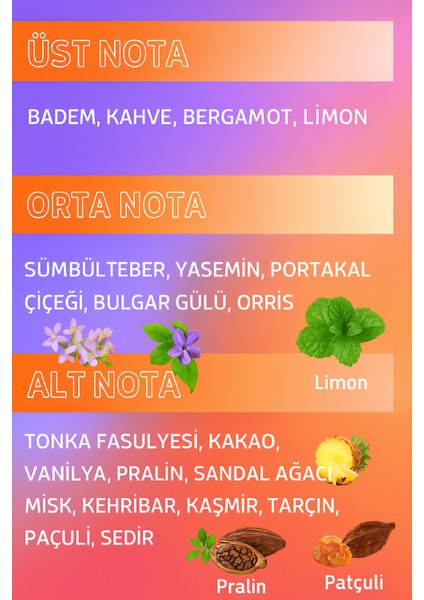 Naıro Good Girl Eternal Edp Kadın Parfüm 100 ml modelleri