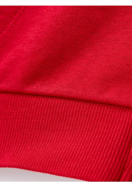 Galatasaray Çocuk Zip Hoodie C252071 modelleri