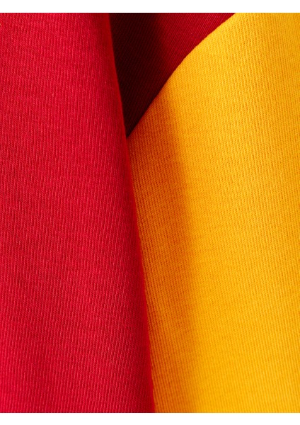 Galatasaray Çocuk Zip Hoodie C252071 fırsatları