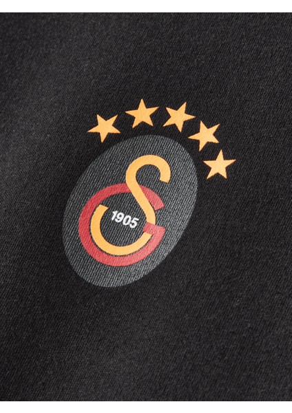Galatasaray Çocuk T-Shirt C252101 indirimleri