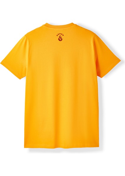 Galatasaray Erkek T-Shirt E252099 fiyatları